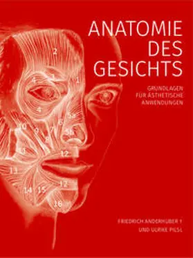 Anderhuber / Pilsl | Anatomie des Gesichts | Buch | 978-3-9820717-0-1 | www.sack.de