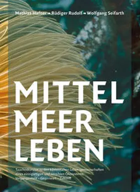 Hafner / Rudolf / Seifarth |  Mittelmeerleben | Buch |  Sack Fachmedien
