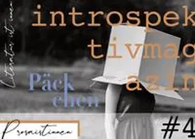 Hoch / Gelsing / Alber |  introspektiv #4 – Päckchen | Buch |  Sack Fachmedien