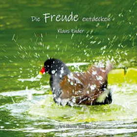 Ender |  Die Freude entdecken | Buch |  Sack Fachmedien