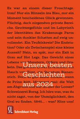 Anders / Apfelstedt / Blenk |  Unsere besten Geschichten aus 2024 | Buch |  Sack Fachmedien