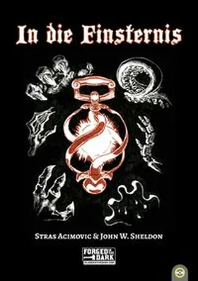 Acimovic / Schnitzer |  In die Finsternis | Buch |  Sack Fachmedien
