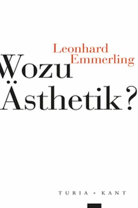 Emmerling |  Wozu Ästhetik? | Buch |  Sack Fachmedien