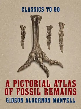Mantell |  A Pictorial Atlas of Fossil Remains | eBook | Sack Fachmedien
