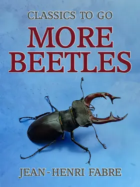 Fabre |  More Beetles | eBook | Sack Fachmedien