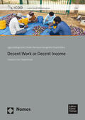 Sabbag Fares / Evangelista Duarte |  Decent Work or Decent Income | Buch |  Sack Fachmedien