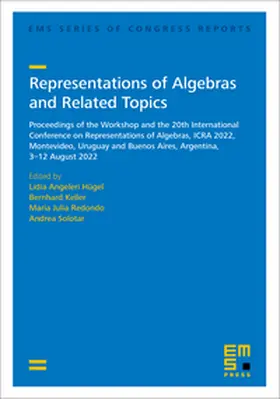 Hügel / Keller / Redondo |  Representations of Algebras and Related Topics | Buch |  Sack Fachmedien
