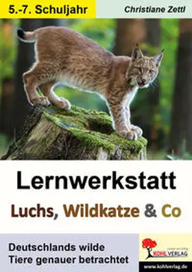 Zettl |  Lernwerkstatt Luchs, Wildkatze & Co | Buch |  Sack Fachmedien