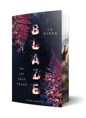 Wonda |  Blaze | Buch |  Sack Fachmedien