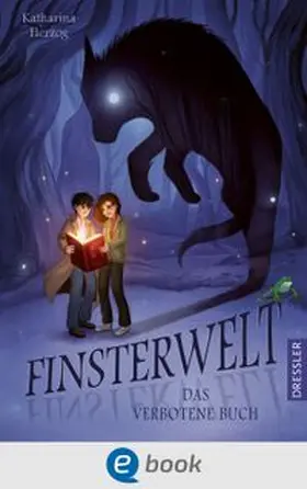 Herzog |  Finsterwelt 1. Das verbotene Buch | eBook | Sack Fachmedien