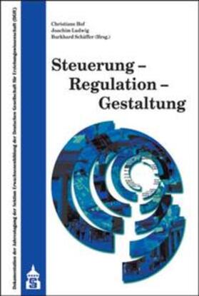 Hof / Ludwig / Schäffer |  Steuerung - Regulation - Gestaltung | Buch |  Sack Fachmedien