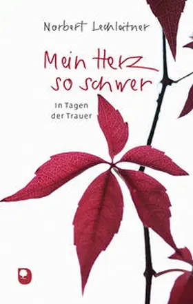 Lechleitner |  Mein Herz so schwer | Buch |  Sack Fachmedien