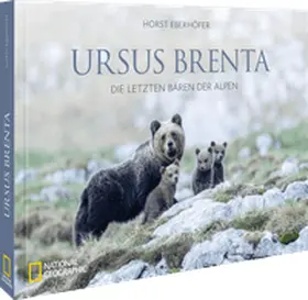 Eberhöfer |  Ursus Brenta - Die Rückkehr der Bären in die Alpen | Buch |  Sack Fachmedien