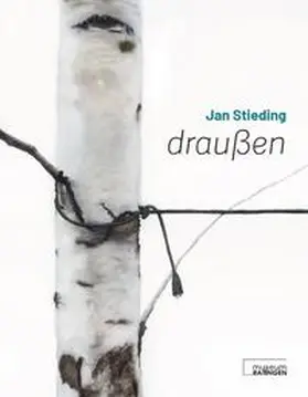 Stieding / Rodler / Siever |  Jan Stieding | Buch |  Sack Fachmedien