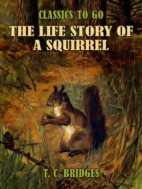 Bridges |  The Life Story of A Squirrel | eBook | Sack Fachmedien