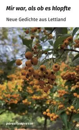 Auzina / Belkovska / Belsevica |  Mir war, als ob es klopfte | Buch |  Sack Fachmedien