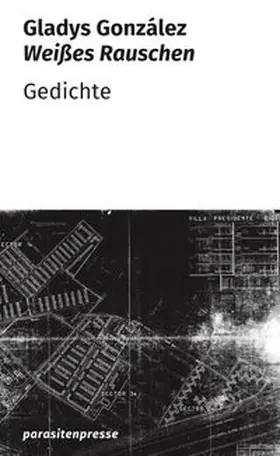 González |  Weißes Rauschen | Buch |  Sack Fachmedien