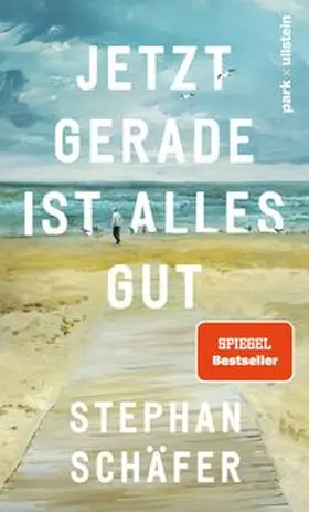 Schäfer |  Jetzt gerade ist alles gut | Buch |  Sack Fachmedien