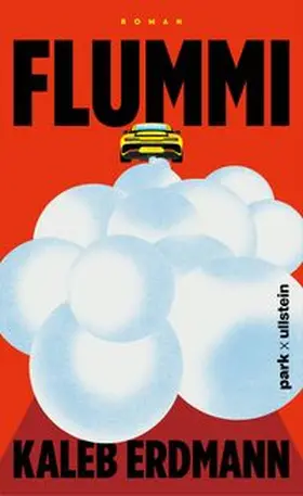 Erdmann |  Flummi | Buch |  Sack Fachmedien