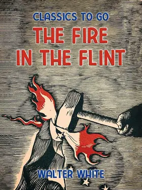 White |  The Fire in the Flint | eBook | Sack Fachmedien