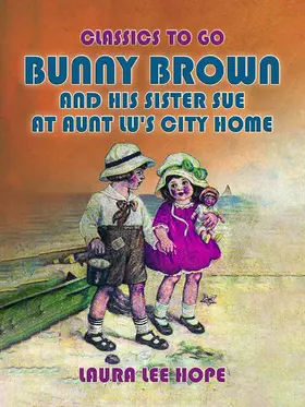 Hope |  Bunny Brown And His Sister Sue At Aunt Lu's City Home | eBook | Sack Fachmedien