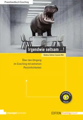 Hafner / Ritz |  Irgendwie seltsam ...! | eBook | Sack Fachmedien