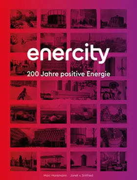 Hansmann / Stillfried |  enercity | Buch |  Sack Fachmedien