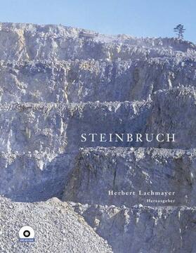 Lachmayer |  Steinbruch | Buch |  Sack Fachmedien
