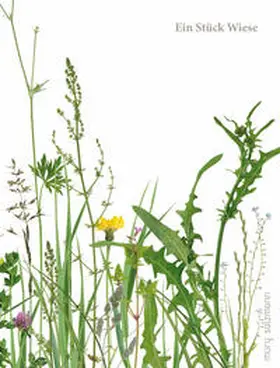 Scherer / Kulturverein Schloss Goldegg |  Ein Stück Wiese und ein Fuder Heu | Buch |  Sack Fachmedien