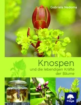 Nedoma | Knospen | Buch | 978-3-99025-119-5 | www.sack.de