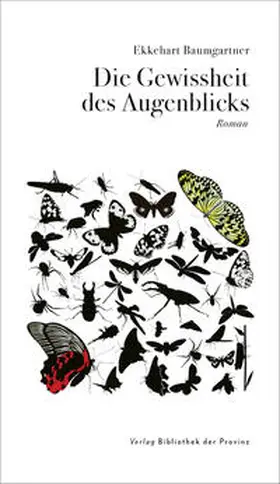 Baumgartner |  Die Gewissheit des Augenblicks | Buch |  Sack Fachmedien