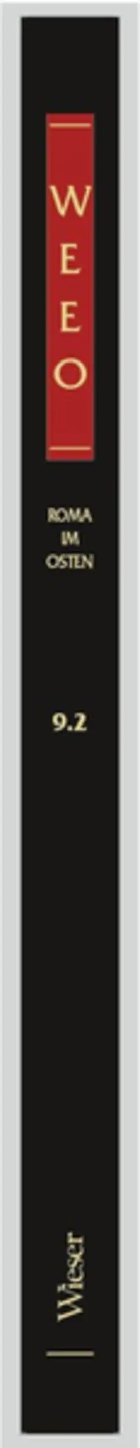 Geier |  Wieser Enzyklopädie des europäischen Ostens / Roma im Osten Europas | Buch |  Sack Fachmedien