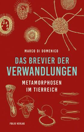 Domenico | Das Brevier der Verwandlungen | E-Book | sack.de