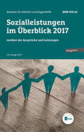 Kammer für Arbeiter und Angestellte für Wien |  Sozialleistungen im Überblick 2017 | Buch |  Sack Fachmedien