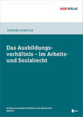 Schnittler |  Das Ausbildungsverhältnis im Arbeits- und Sozialrecht, m. 1 Beilage | Buch |  Sack Fachmedien