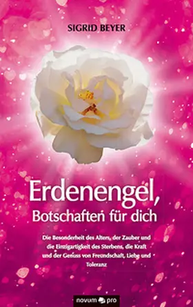Beyer |  Erdenengel, Botschaften für dich | Buch |  Sack Fachmedien