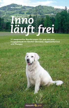Huber |  Inno läuft frei | Buch |  Sack Fachmedien