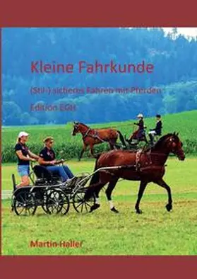 Haller |  Kleine Fahrkunde | Buch |  Sack Fachmedien