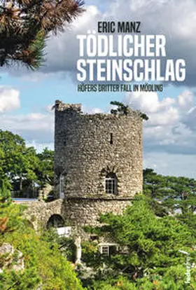 Manz |  Tödlicher Steinschlag | Buch |  Sack Fachmedien