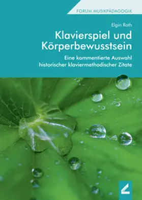 Roth / de Almeida |  Klavierspiel und Körperbewusstsein | Buch |  Sack Fachmedien