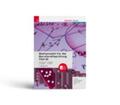 Paul / Gürlinger / Gerstendorf |  Mathematik für die Berufsreifeprüfung (Teil 2) + TRAUNER-DigiBox + E-Book | Buch |  Sack Fachmedien