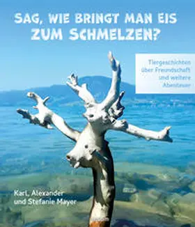 Karl | Sag, wie bringt man Eis zum Schmelzen? | Buch | 978-3-99130-102-8 | www.sack.de