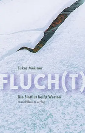 Meisner |  Fluch(t) | Buch |  Sack Fachmedien