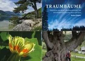 Ziegler |  Traumbäume | Buch |  Sack Fachmedien
