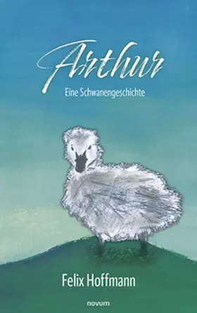 Hoffmann |  Arthur | Buch |  Sack Fachmedien