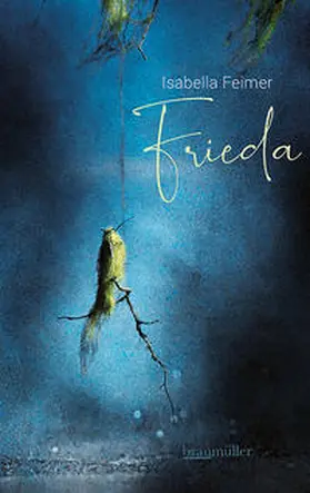 Feimer |  Frieda | Buch |  Sack Fachmedien