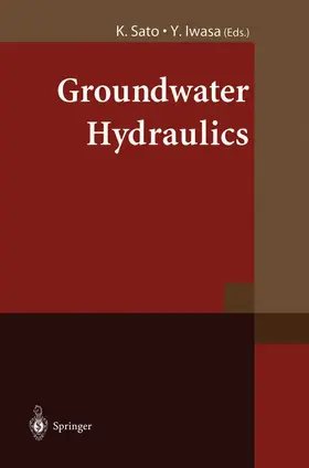 Iwasa / Sato |  Groundwater Hydraulics | Buch |  Sack Fachmedien