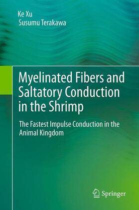 Terakawa / Xu | Myelinated Fibers and Saltatory Conduction in the Shrimp | Buch | 978-4-431-53923-0 | sack.de