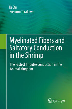 Xu / Terakawa | Myelinated Fibers and Saltatory Conduction in the Shrimp | E-Book | sack.de