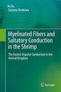 Xu / Terakawa |  Myelinated Fibers and Saltatory Conduction in the Shrimp | eBook | Sack Fachmedien